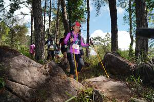 BIB: 
                            <button type="button" onclick="openModal(18942975)" class="btn btn-primary btn-sm float-right btn-popup" data-toggle="modal" data-target=".modal-high-quality">
                        <i class="fas fa-shopping-cart"></i> Add to Cart
                    </button>
                                            <button type="button" onclick="isThisMe(18942975, true)" class="btn btn-success btn-sm float-right btn-popup btn-isme hidden" data-toggle="tooltip" data-placement="bottom" title="นี่คือรูปของคุณใช่ไหม คลิกที่นี่เพื่อเอาเข้าอัลบั้ม">
                        <i class="fas fa-plus"></i> Add to album
                    </button>
                    <button type="button" onclick="isThisMe(18942975, false)" class="btn btn-warning btn-sm float-right btn-popup btn-isnotme hidden">
                        <i class="fas fa-ban"></i> Remove from album
                    </button>